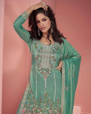 Shanaya Embroidered dress (Free size S to 2XL)